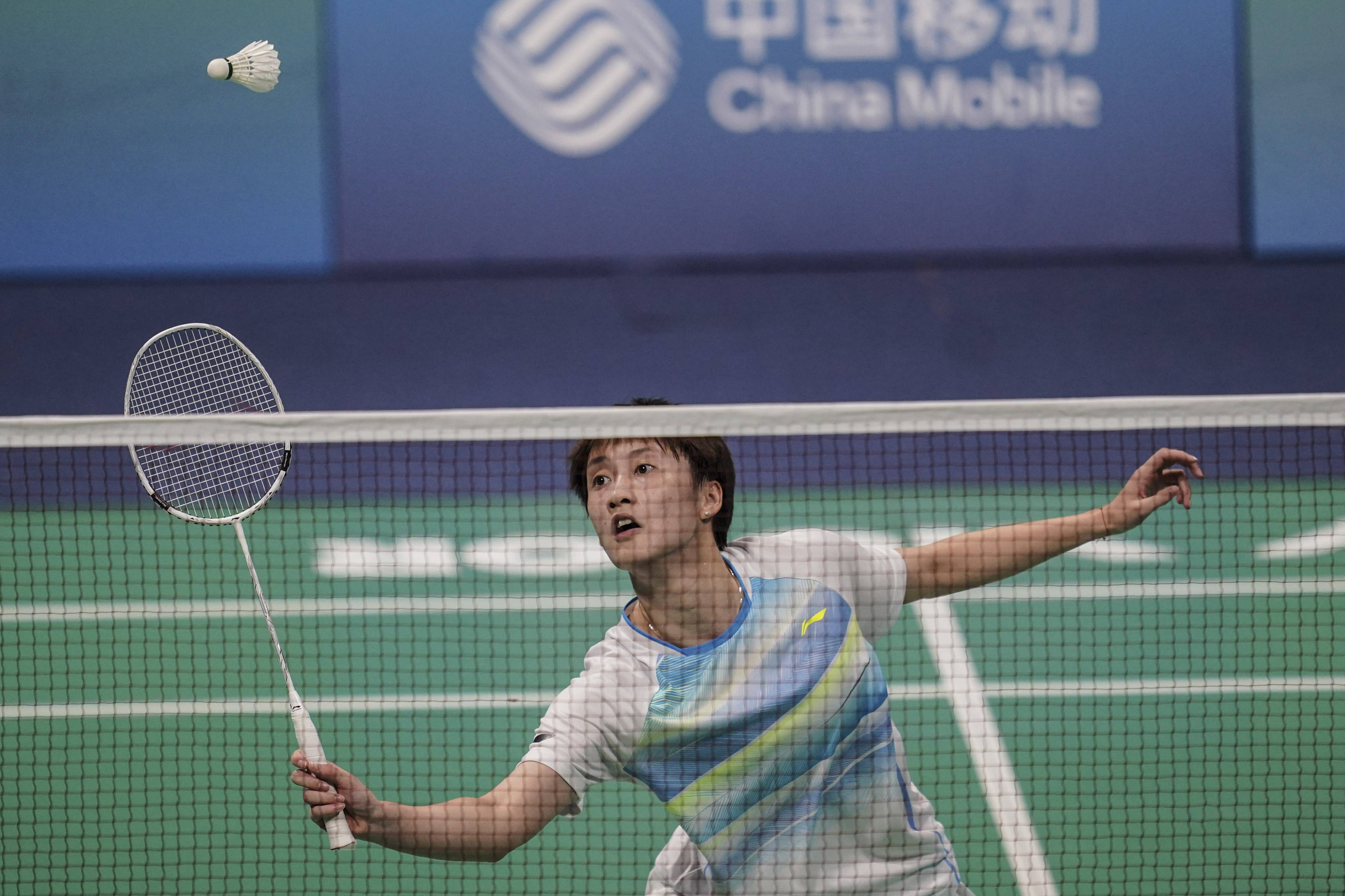 个体的身体 个体的身体