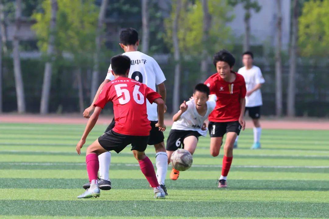 我们回顾努 我们回顾努